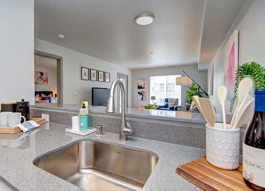 Northgate - Row on Third - Kitchen