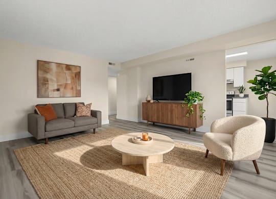 A living room with a grey couch, a wooden coffee table, and a television.