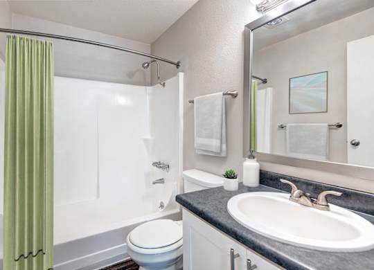 A bathroom with a white toilet, a sink, and a shower.