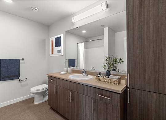 A bathroom with a toilet, sink, and mirror.