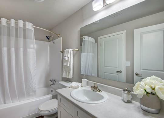 Lakewood apartments-Timbre Heights- bathroom