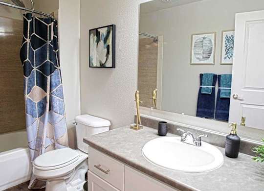 Seattle Apartments- Mosaic on Greenwood- bathroom
