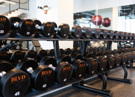 High Endurance Fitness Center at BLVD Beltline, Calgary, AB, T2G 2K4