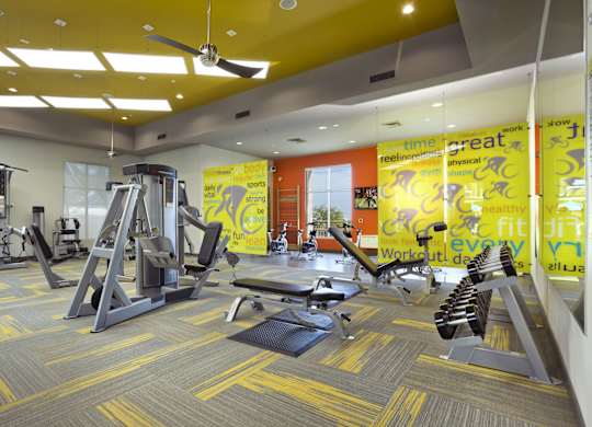 Avion on Legacy apartments near Thompson Peak Health Care - Fully equipped fitness center
