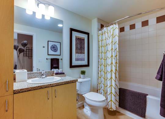 The Matisse apartments for rent in Downtown Portland - bathroom storage