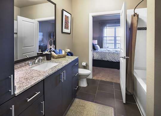 Lake Vue Apartments | Orlando, FL | Bathroom
