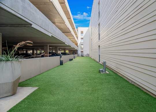 Dallas, TX Apartments for Rent in Knox-Henderson - Larq Henderson dog park