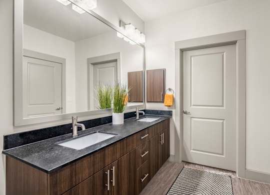 Apartments in Knox-Henderson, TX - Larq Henderson walk-in closets