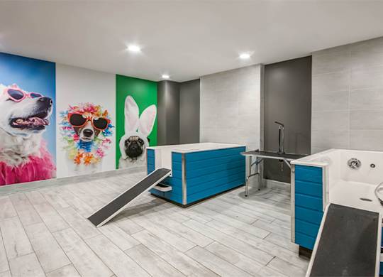 Mallory Square - Rockville, MD - pet spa