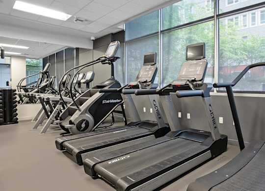 A gym with treadmills and elliptical machines.