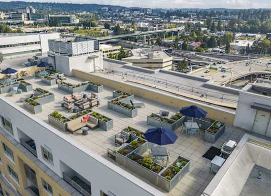 Metro 112 Apartments in Bellevue WA - Rooftop