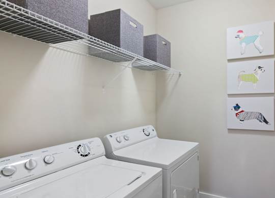 Marshall Park apartments in Crabtree - Full size washer and dryer with built in shelving
