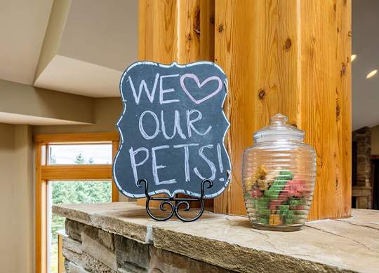 Sammamish WA apartments near Starbucks - Boulder Creek is pet friendly
