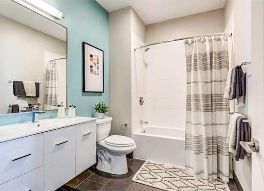Velo Forest Hills Apartments - Jamaica Plain apartments in Boston - bathroom