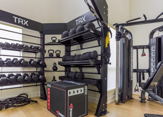 a fitness room with weights and a rack of trx equipment