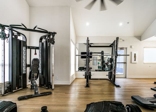 a home gym with weights and cardio equipment