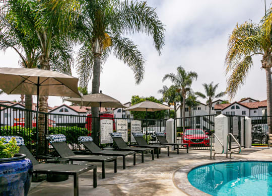 the pool at the resort at longboat key club
