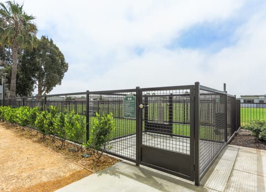 Newport Palms Apartments Pet Park Gate and Entrance