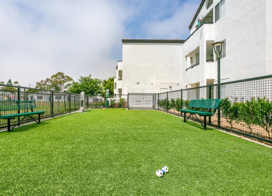 a yard with two benches and a soccer ball on the grass