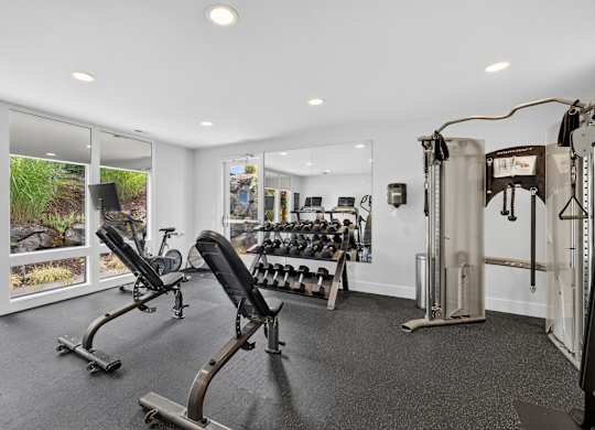 A gym with a row of treadmills and a row of dumbbells.