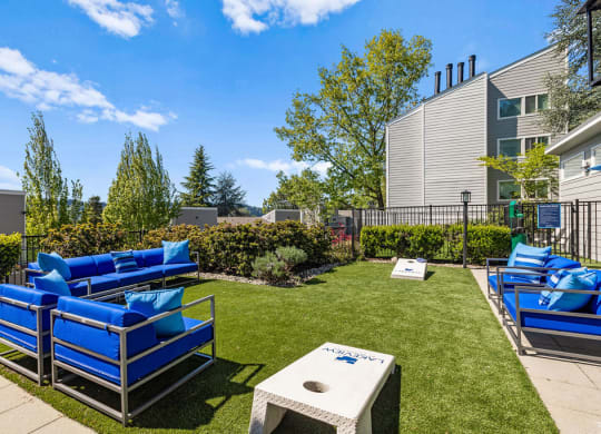 a patio with blue lounge chairs and a table on the grass
