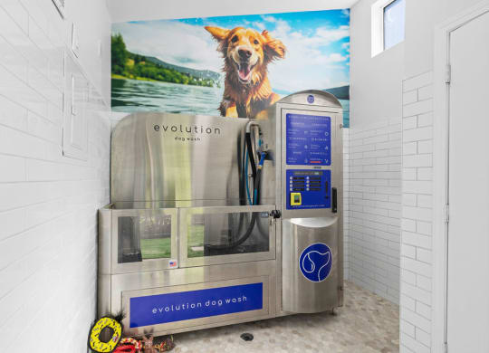Self serve dog wash station