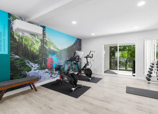 the home has a workout room with a wall mural and yoga equipment
