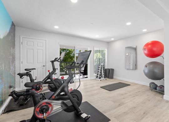the gym