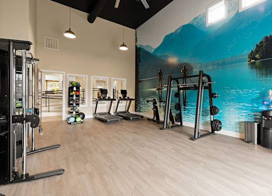 A gym with a wall mural of a lake and mountains.