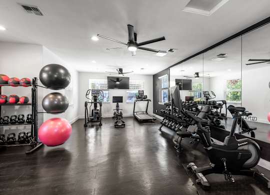 A gym with a row of stationary bikes and exercise balls.