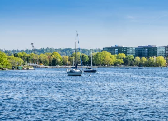 two boats in the water with a city in the background