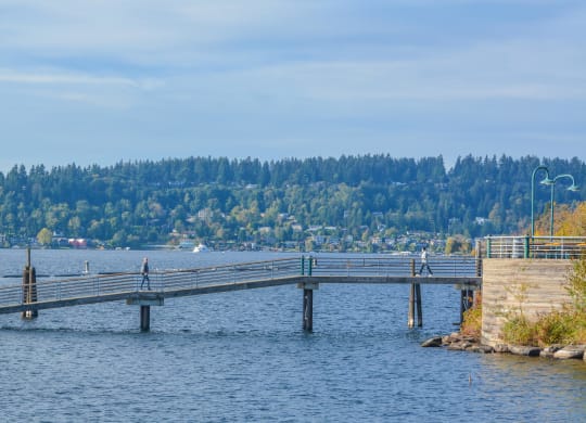 people walking on a bridge over the water at a pier