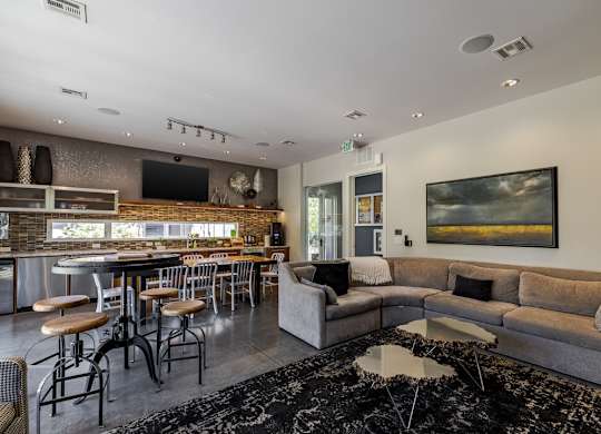 A modern living room with a grey couch and a black and white rug.