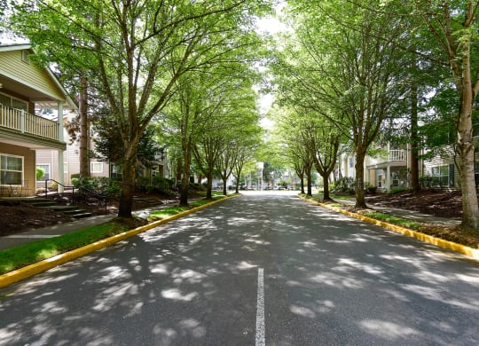 a street with trees and houses on either side of it