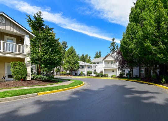 the view of an empty street in a neighborhood with houses and trees