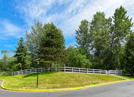 a grassy area with a fence and trees in the background