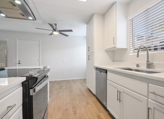 Waterleaf Apartment Homes Kitchen with Stainless Steel Appliances