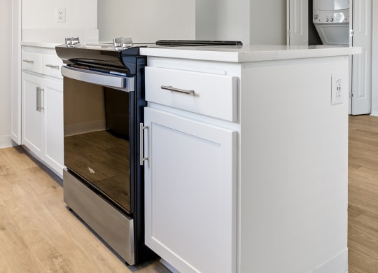 Waterleaf Apartment Homes Kitchen stove with range