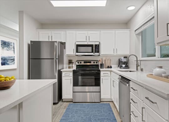 a white kitchen with stainless steel appliances and a blue rug
