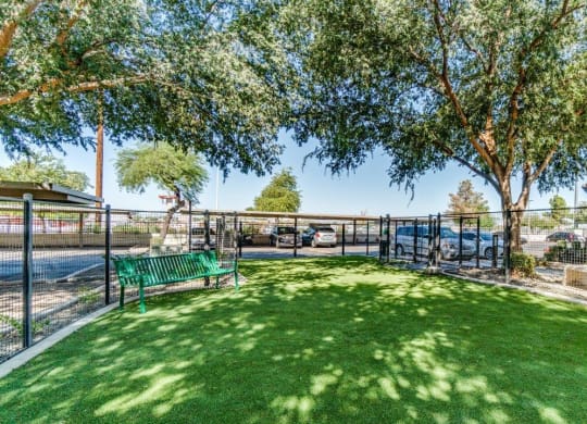 Dog park