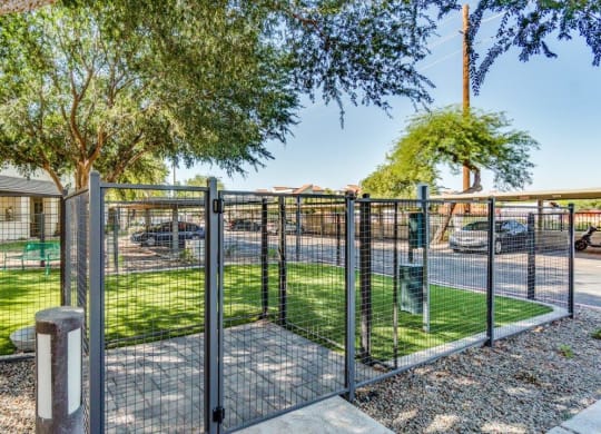 Dog park
