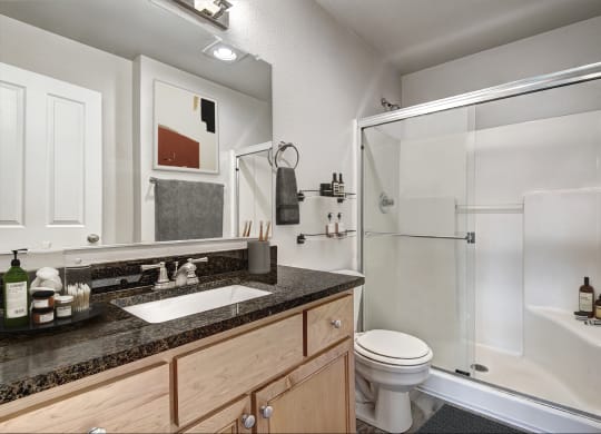 a bathroom with a sink toilet and shower