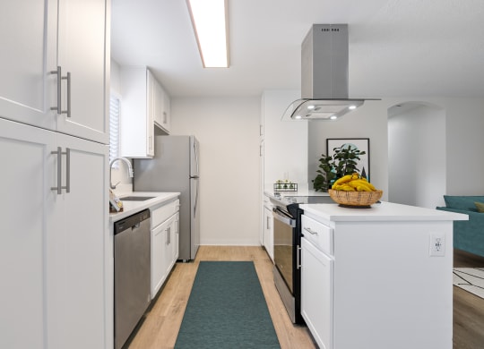 Waterleaf Apartment kitchen