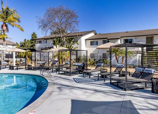 A pool area with sun loungers and a palm tree.