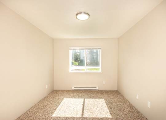 A room with a window and a radiator on the floor.
