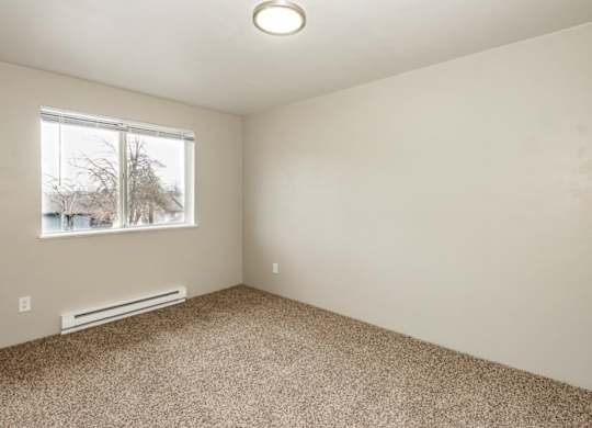 A room with a carpeted floor and a window showing a tree outside.