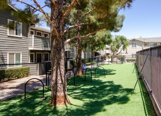 a fenced in dog park with trees and benches at Aspire High Desert Apartments, Victorville