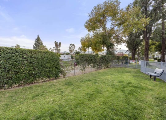 a large grassy area with a bench in the middle of it at Aspire Corona, Corona