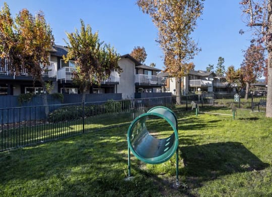 our apartments showcase a large yard with a trampoline at Aspire Redlands, Redlands, CA