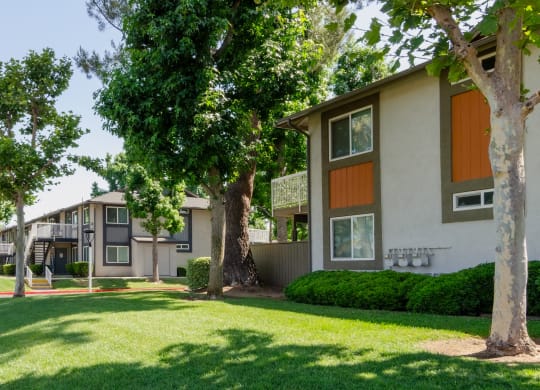 our apartments have a spacious yard with trees and grass at Aspire Redlands, California, 92374